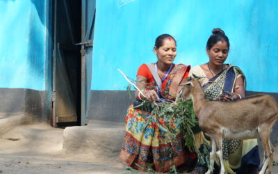 Investing in women through graduation programs