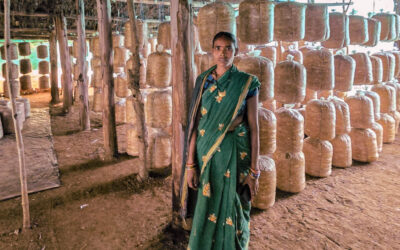 Digital tools and livelihoods