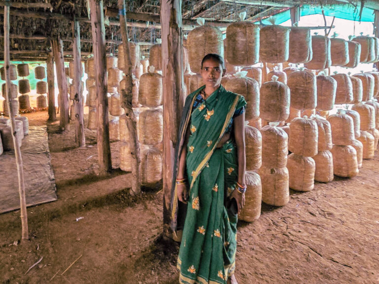 Digital tools and livelihoods
