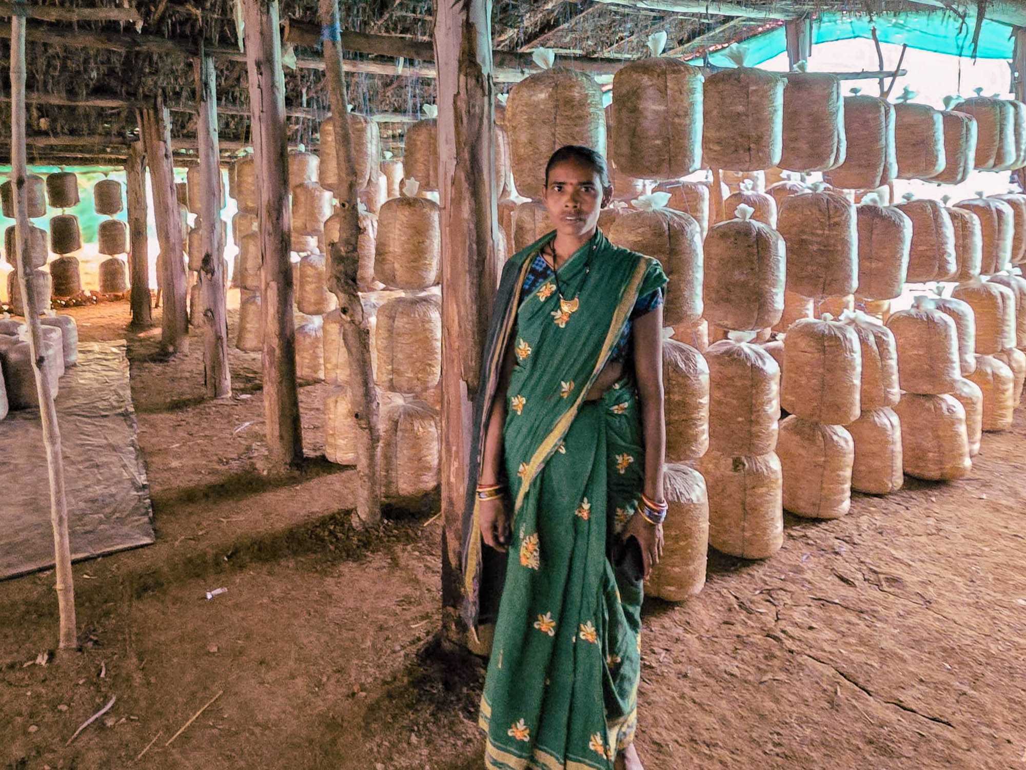 Digital tools and livelihoods